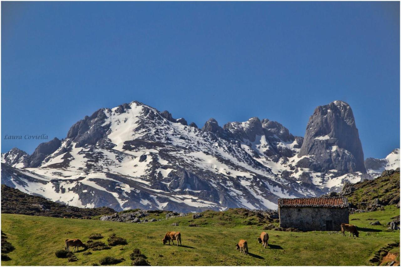 Los Campos Vivienda Vacacional Onís Exteriér fotografie